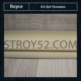 Дуб Пальмира 825